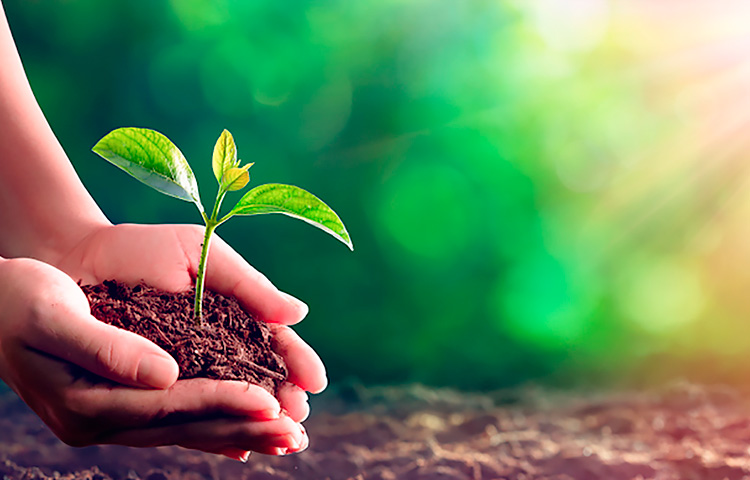 AG8�콢����(�й�)������ҳ