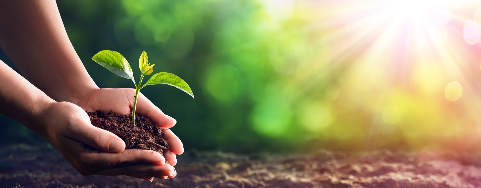 AG8�콢����(�й�)������ҳ