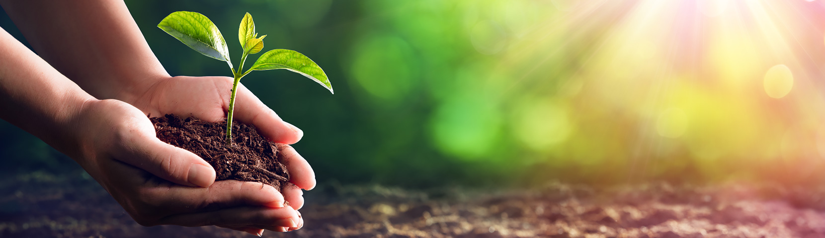 AG8�콢����(�й�)������ҳ